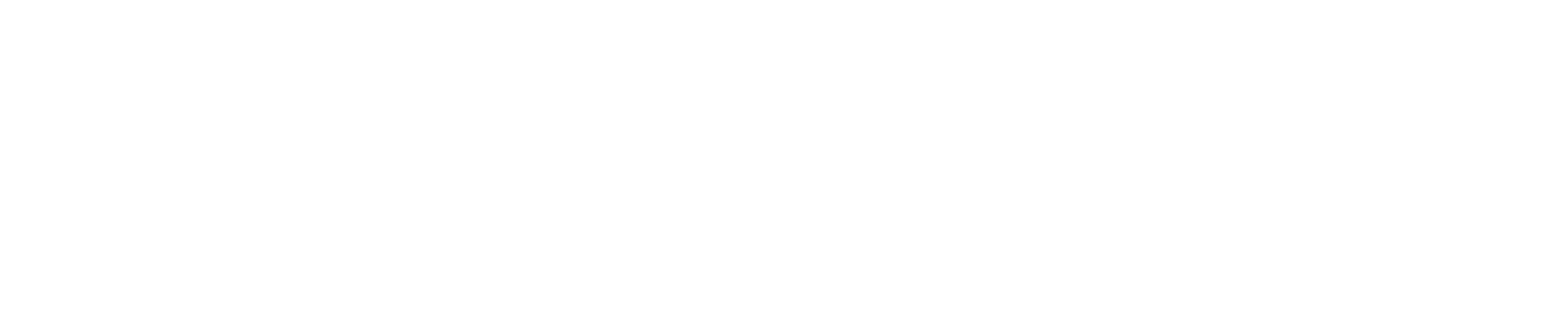 Woitzik KFZ-Elektronik